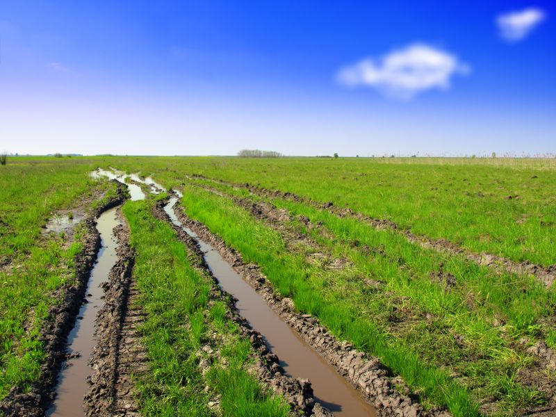 Lawn Rut Repair detail