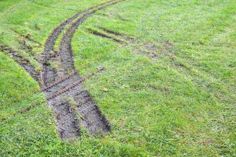 Lawn Rut Repair detail